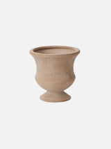 Thumbnail for picture #6