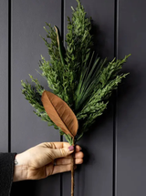 Thumbnail for picture #2