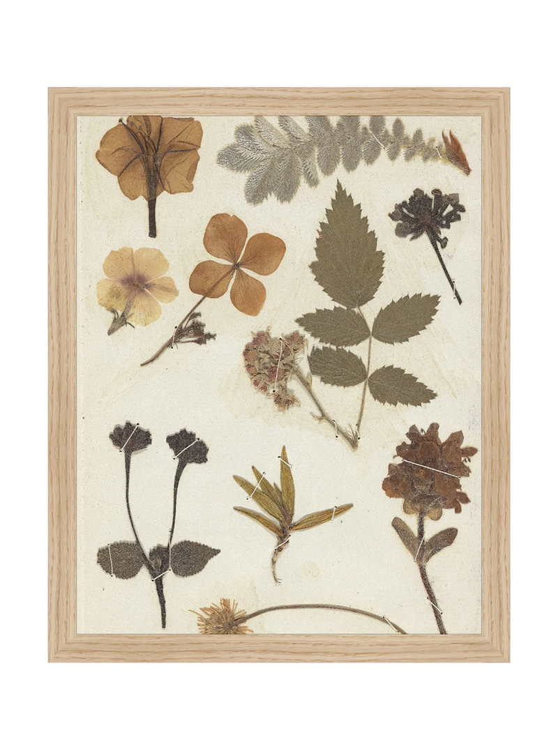 Autumnal Study II