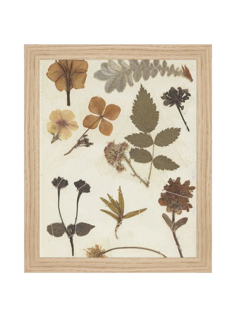 Autumnal Study II