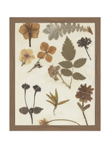 Autumnal Study II