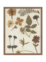 Autumnal Study II