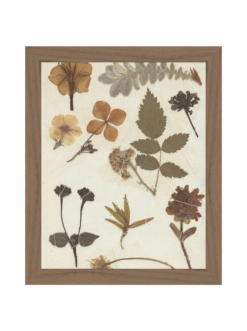 Autumnal Study II