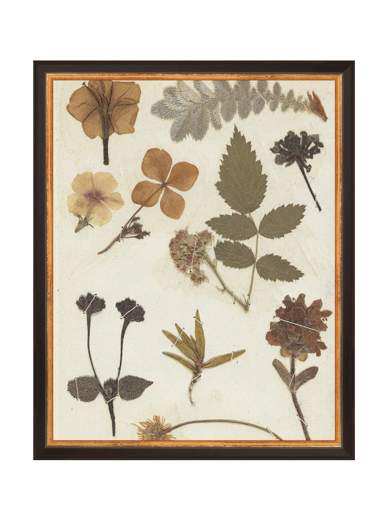 Autumnal Study II