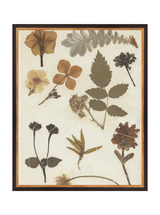 Autumnal Study II