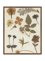 Autumnal Study II