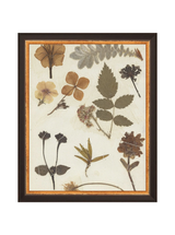 Autumnal Study II