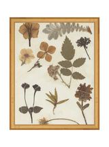 Autumnal Study II