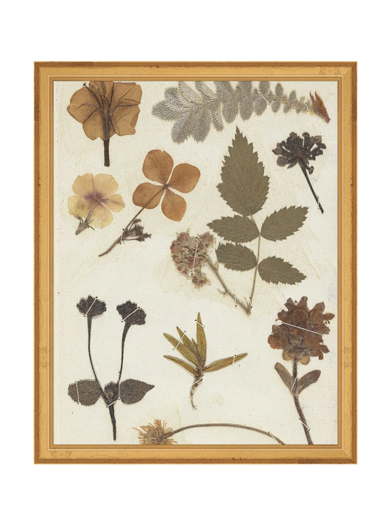 Autumnal Study II