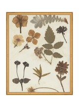 Autumnal Study II