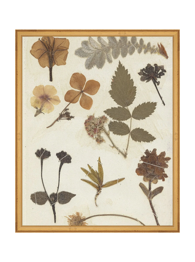Autumnal Study II