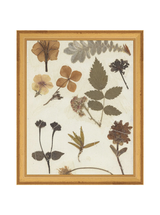 Autumnal Study II