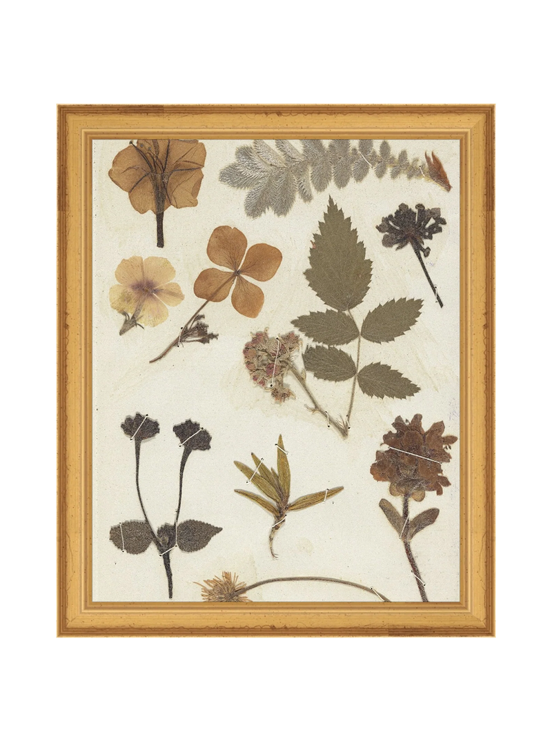Autumnal Study II