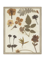 Autumnal Study II