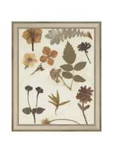 Autumnal Study II