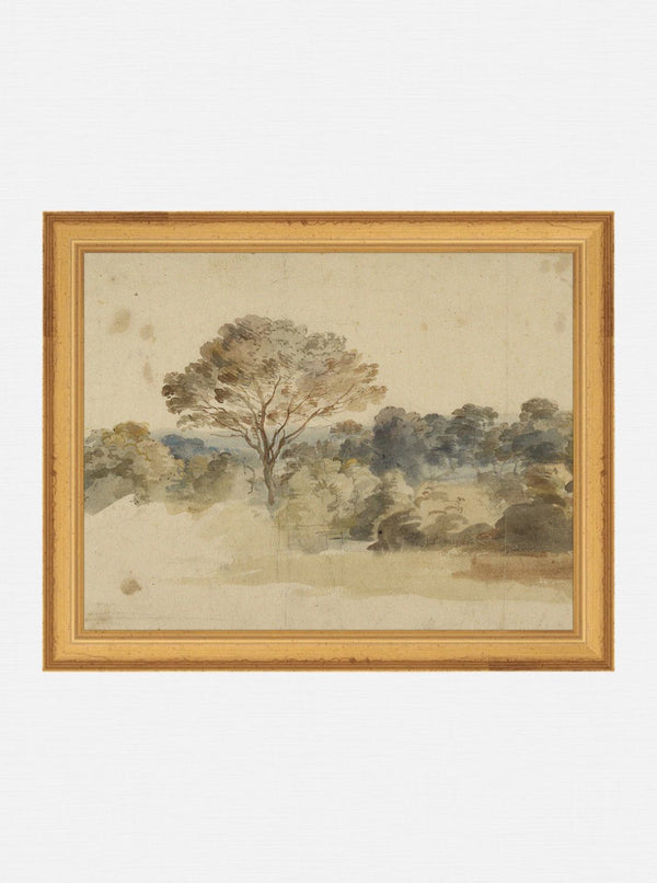 Baroque Watercolor