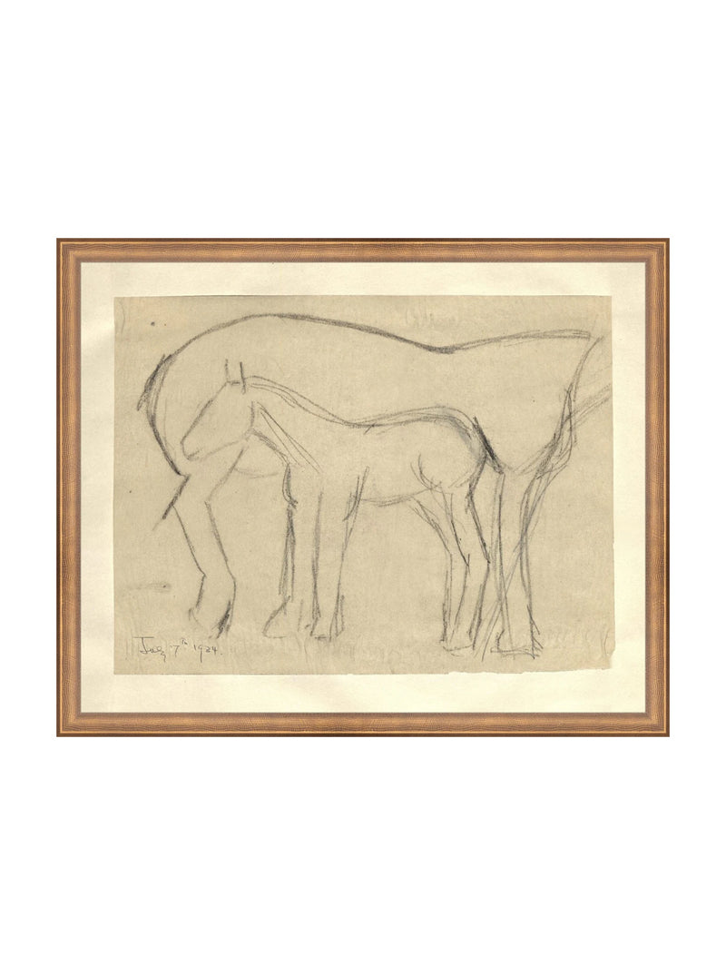 Foal Sketch