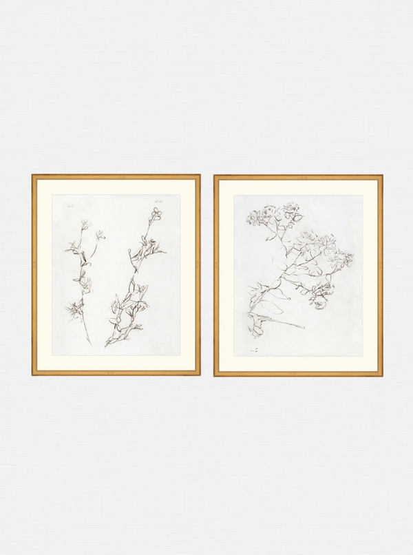Botanical Study Duo Art Bundle