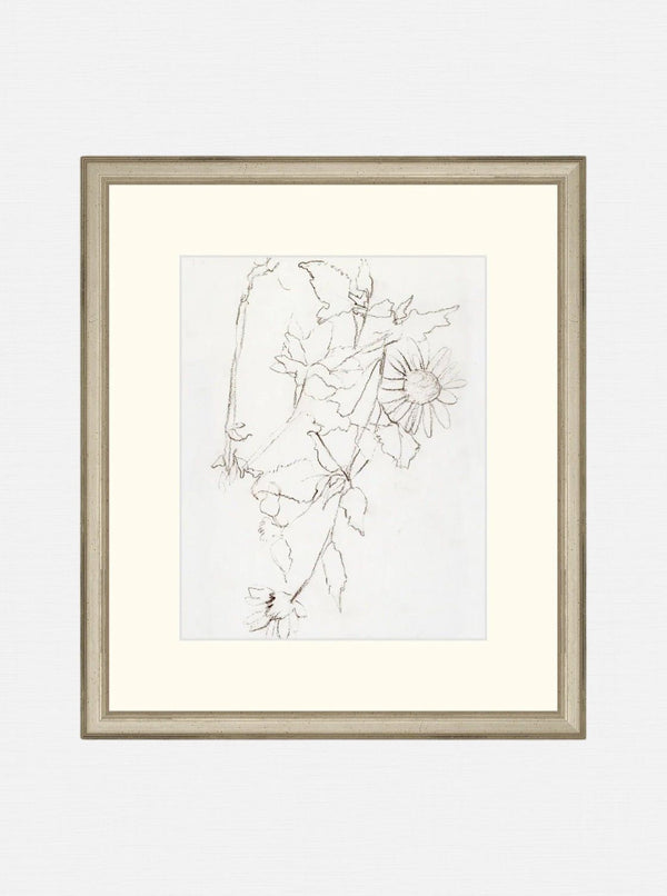 Botanical Study III