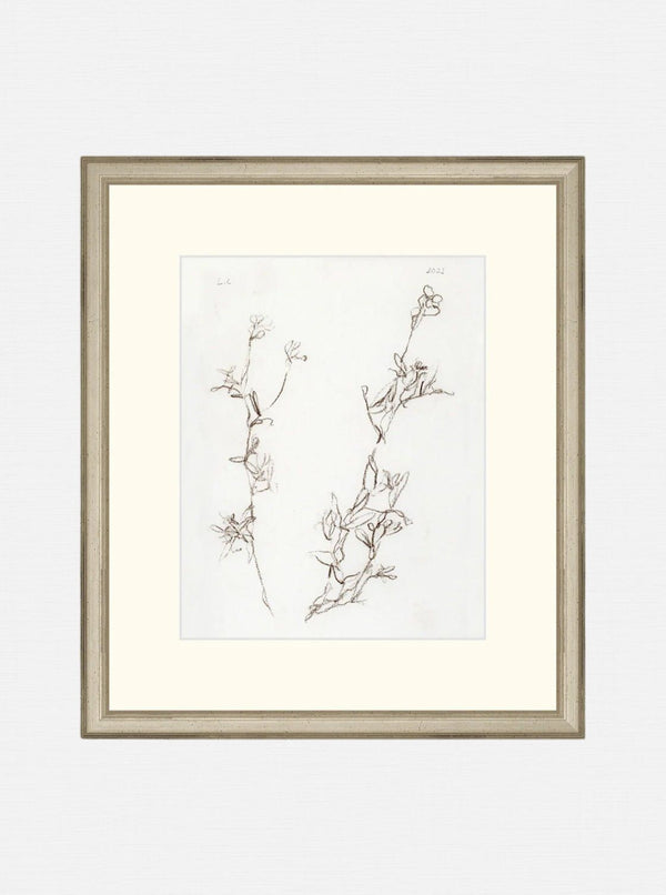 Botanical Study I