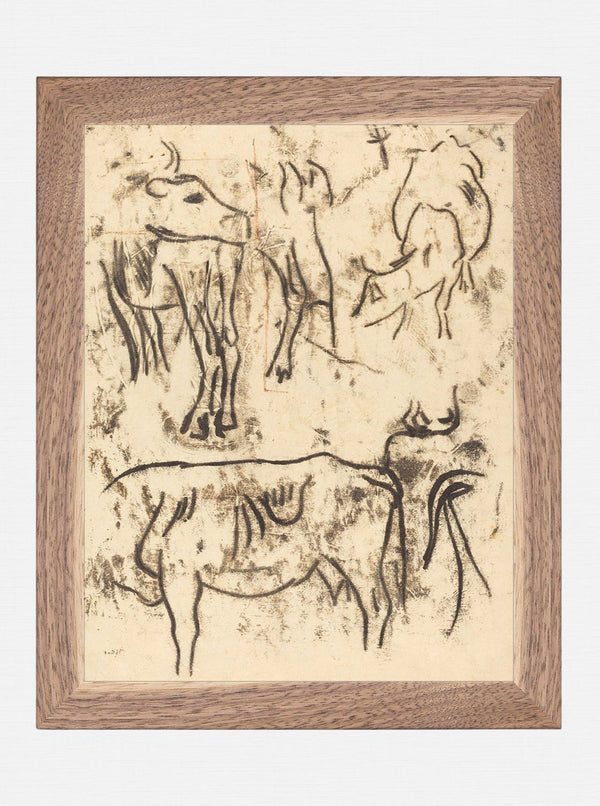 Cattle Study