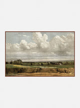 Country Field