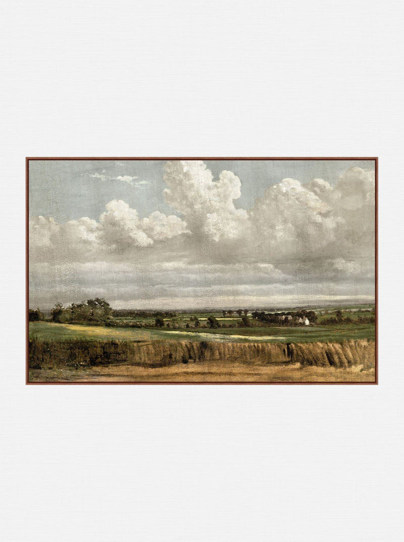 Country Field