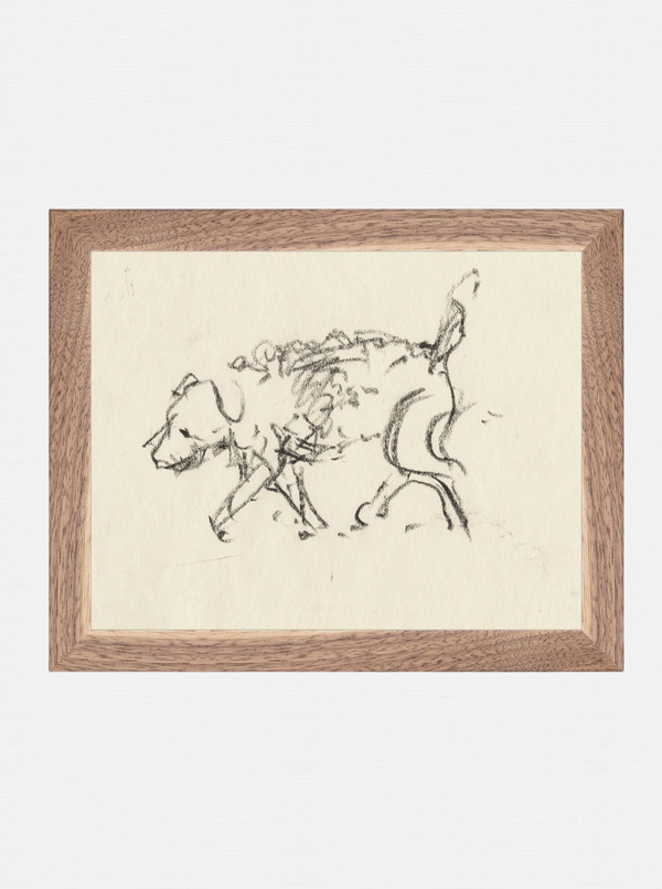 Dog Sketch