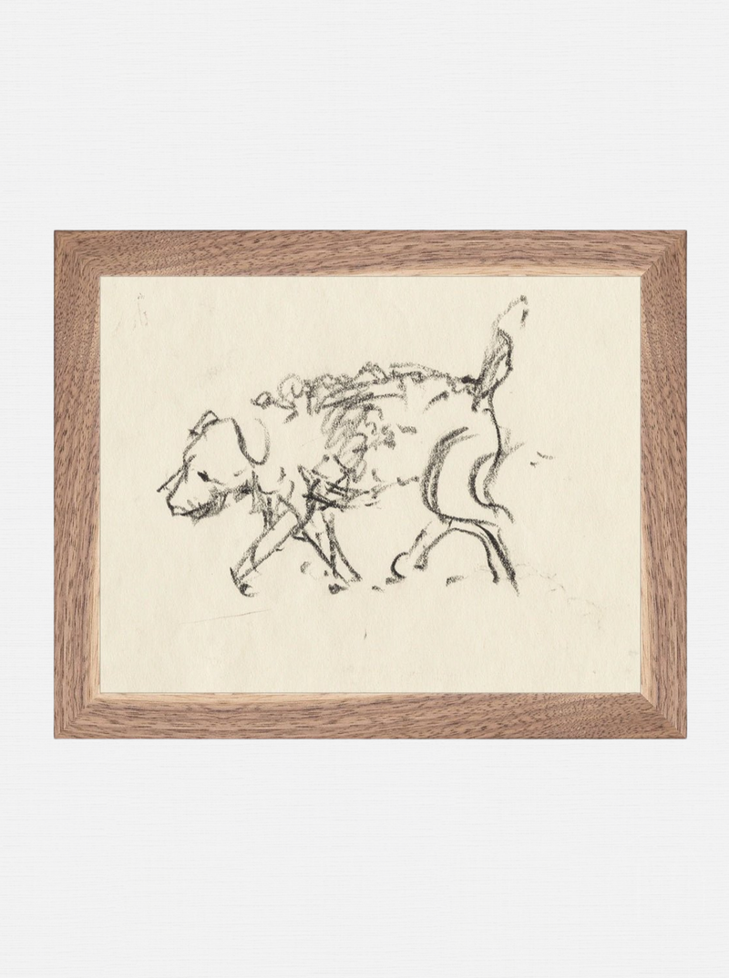 Dog Sketch