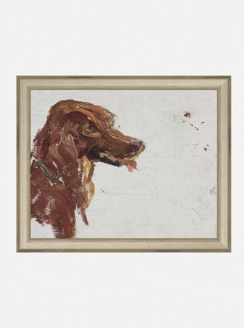 Dog Study