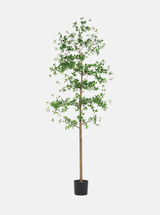 Faux Shady Lady Tree