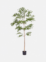 Faux Shady Lady Tree