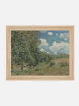 Forest Edge