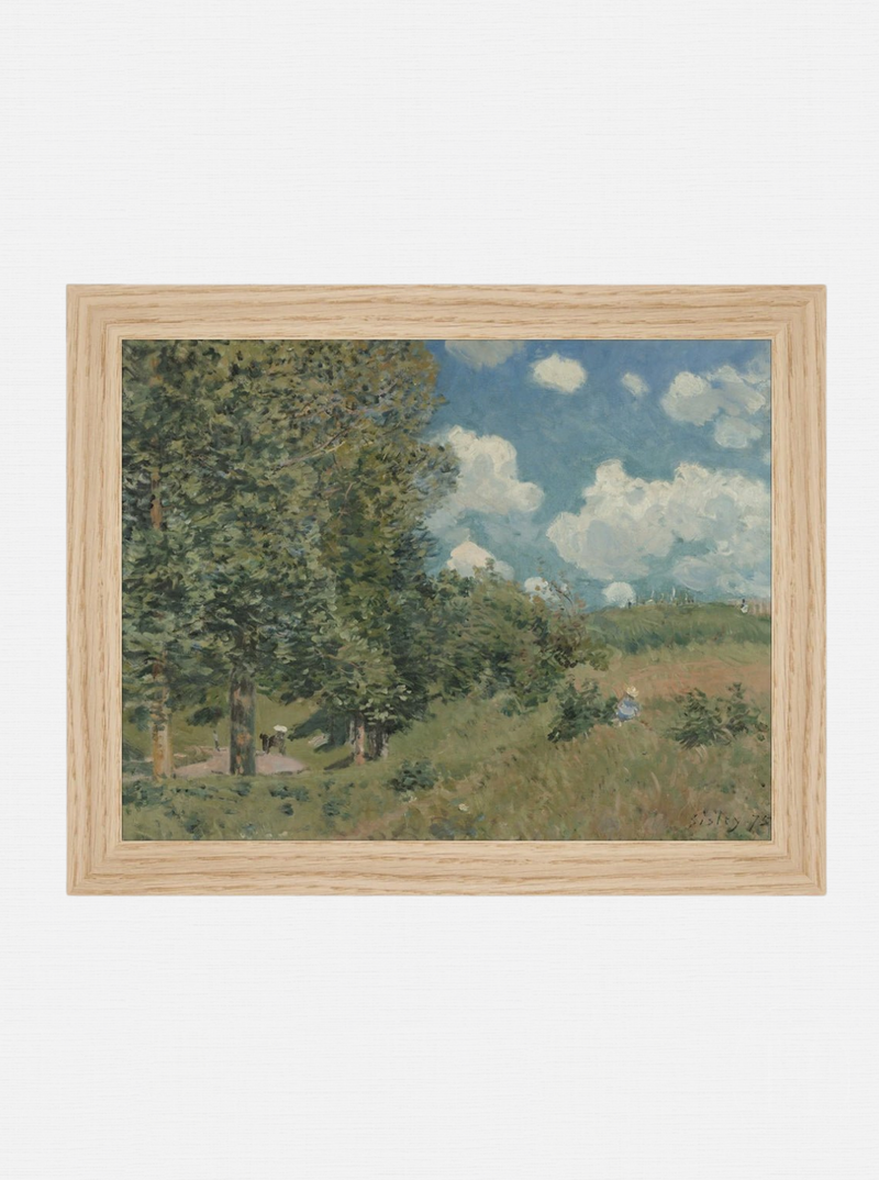 Forest Edge