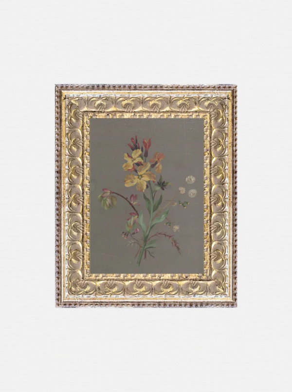 French Wildflowers