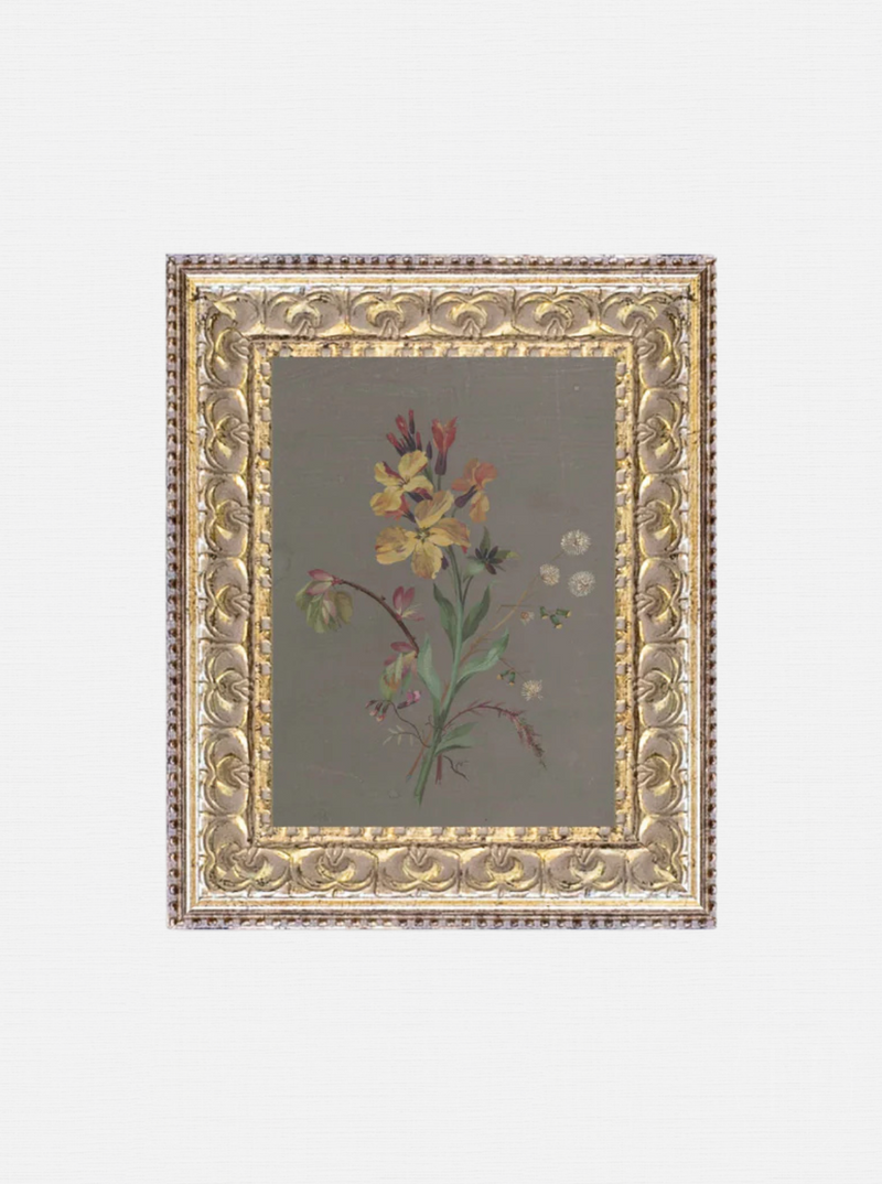 French Wildflowers
