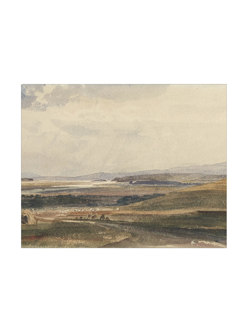 Harvest View