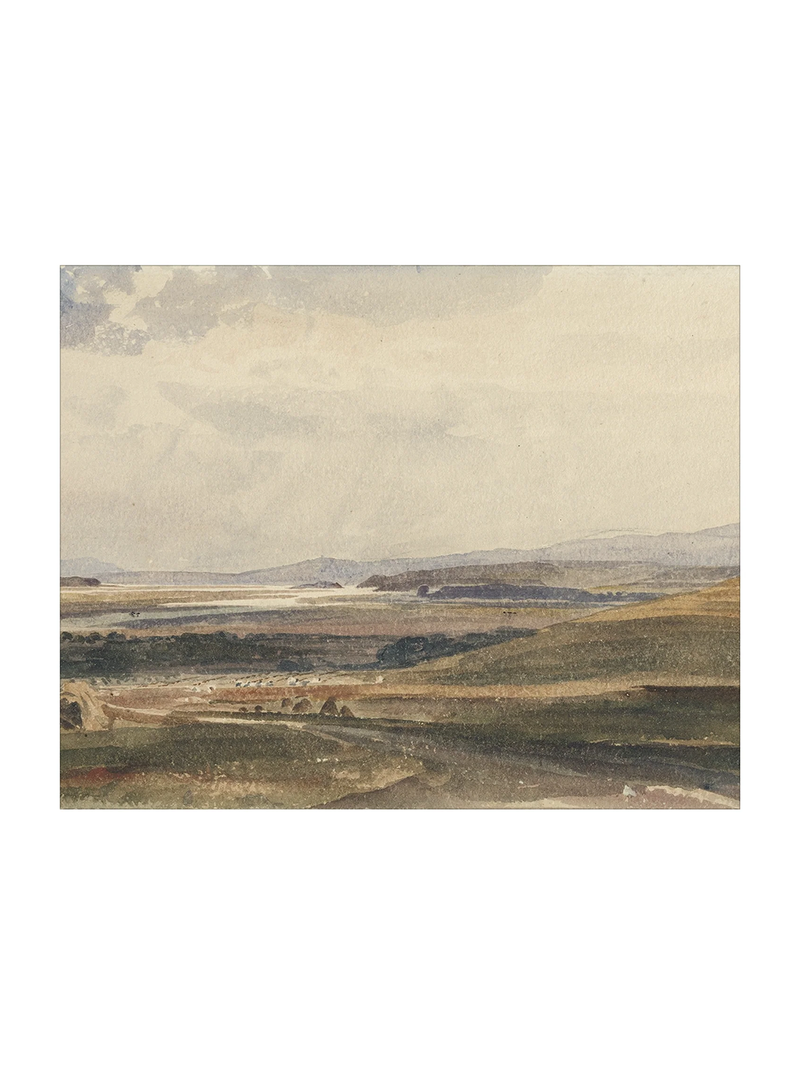 Harvest View