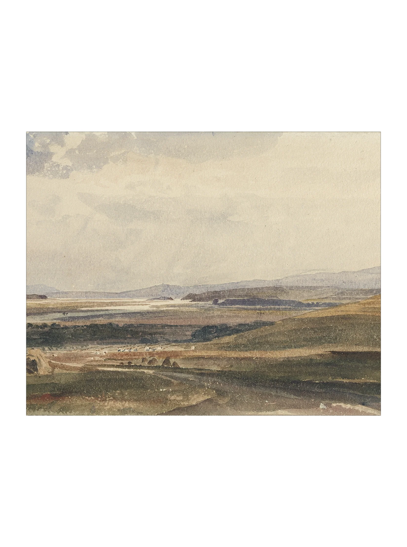 Harvest View