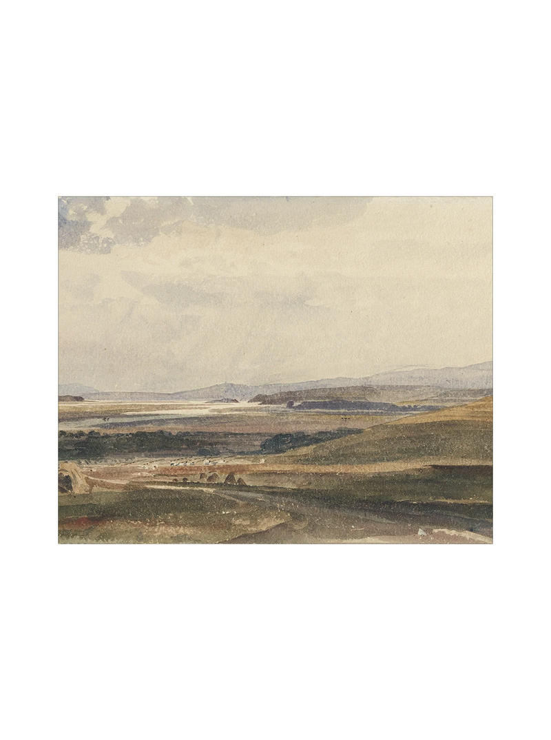 Harvest View
