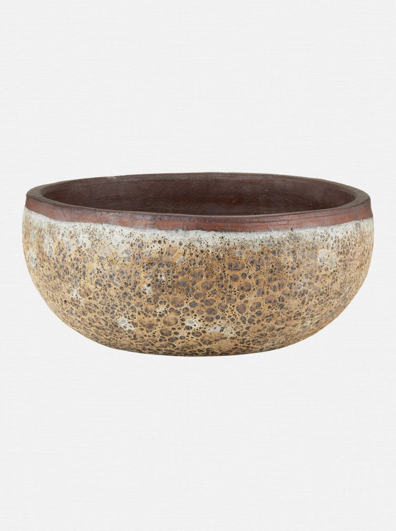 Jacie Planter
