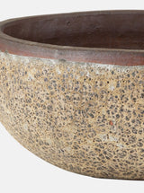 Jacie Planter