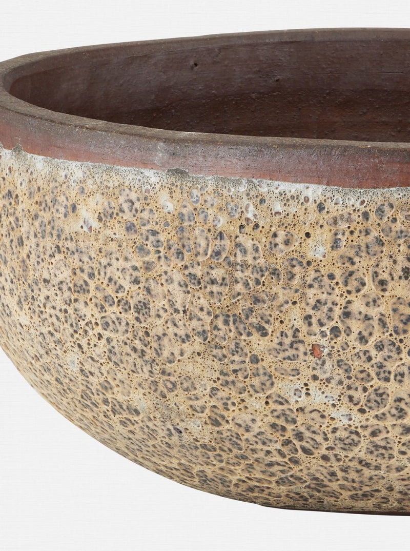 Jacie Planter