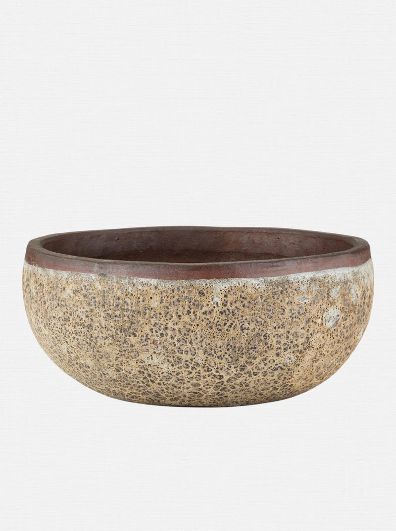 Jacie Planter
