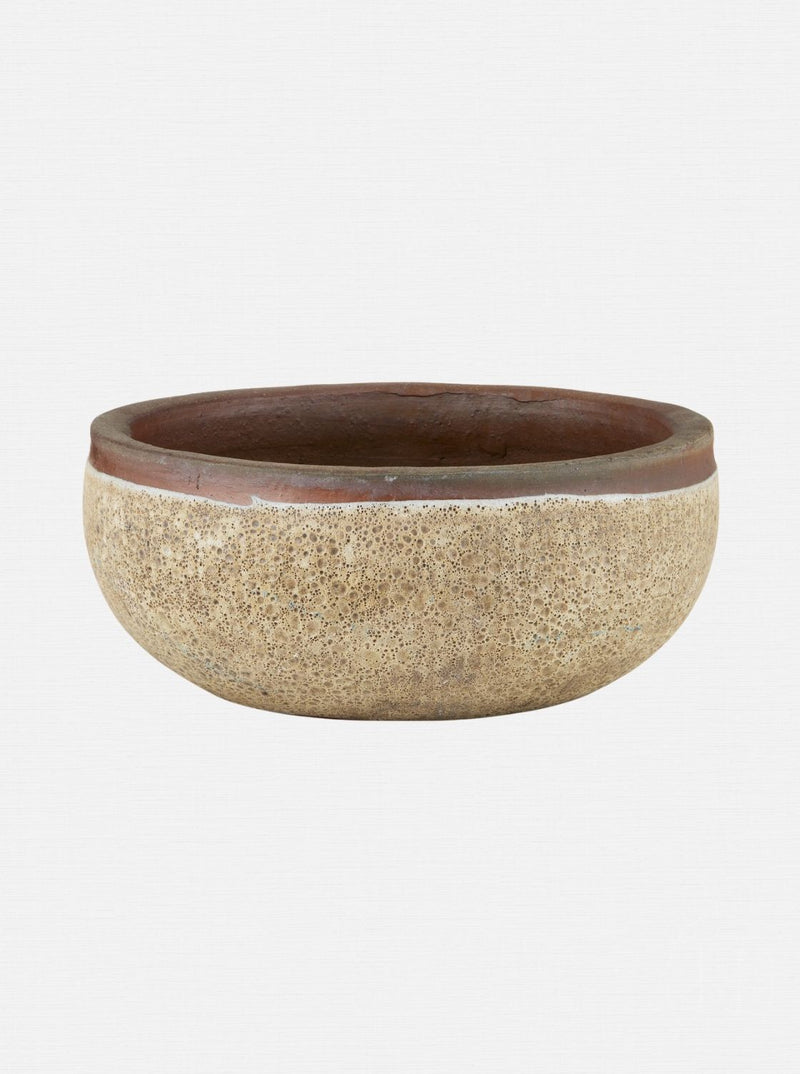 Jacie Planter