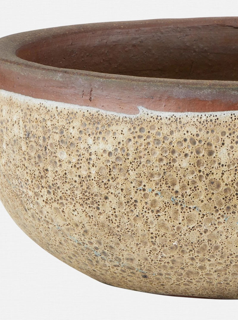 Jacie Planter