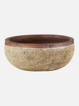 Jacie Planter