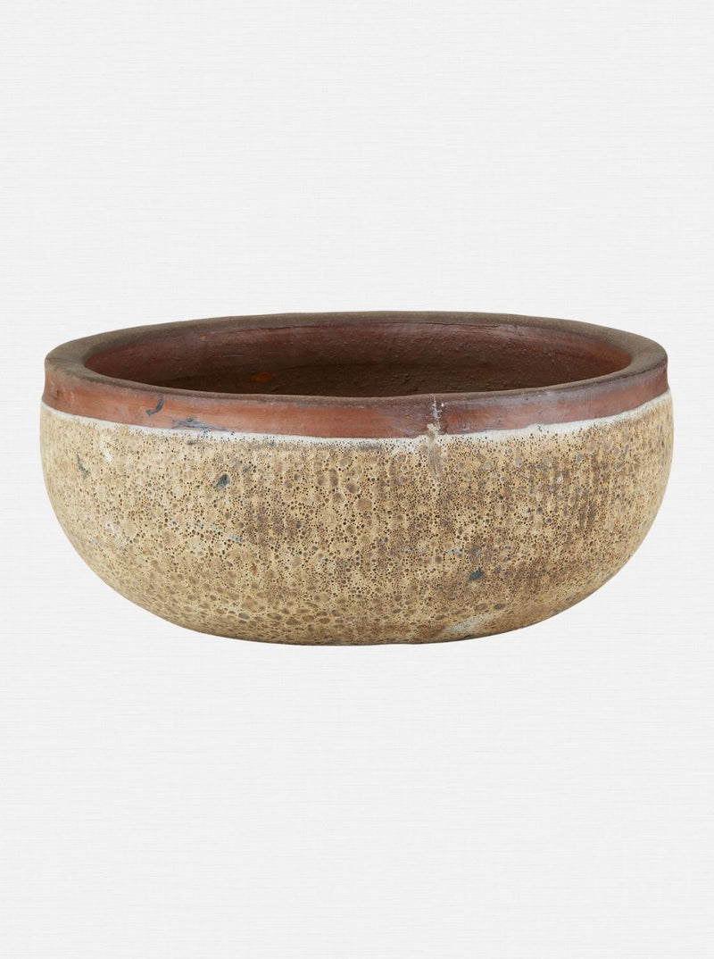 Jacie Planter
