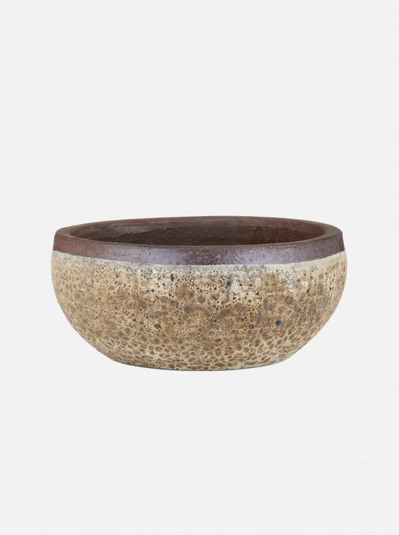 Jacie Planter