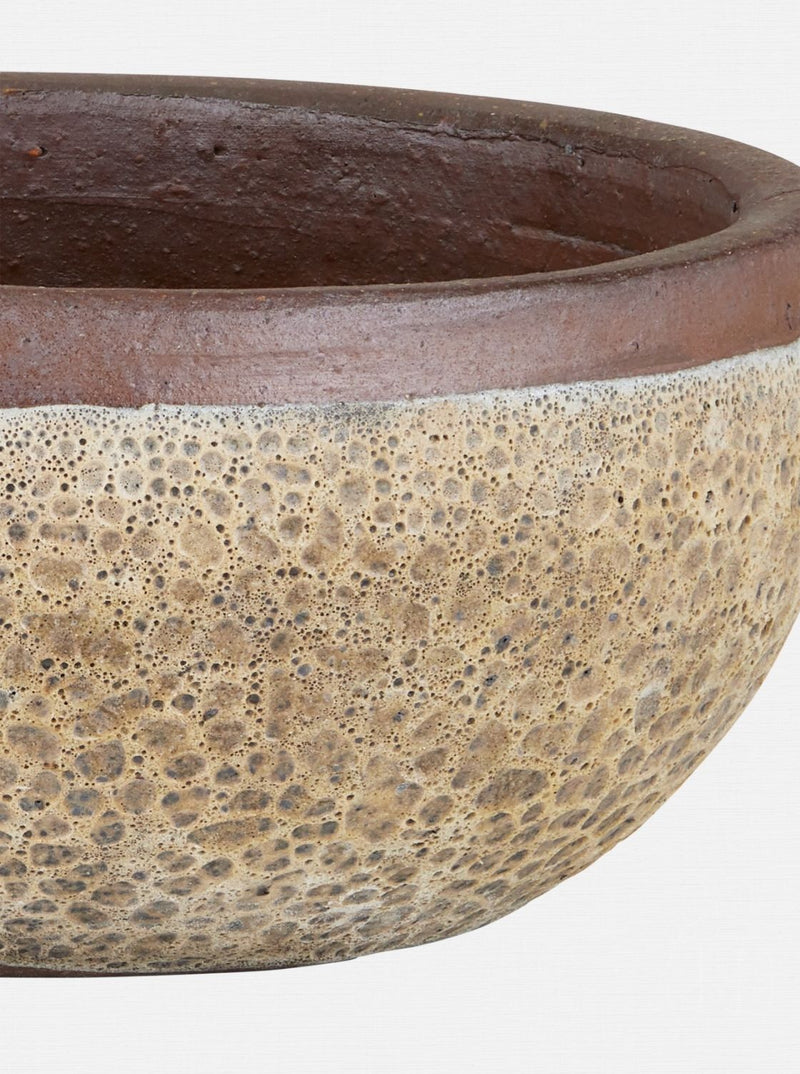 Jacie Planter